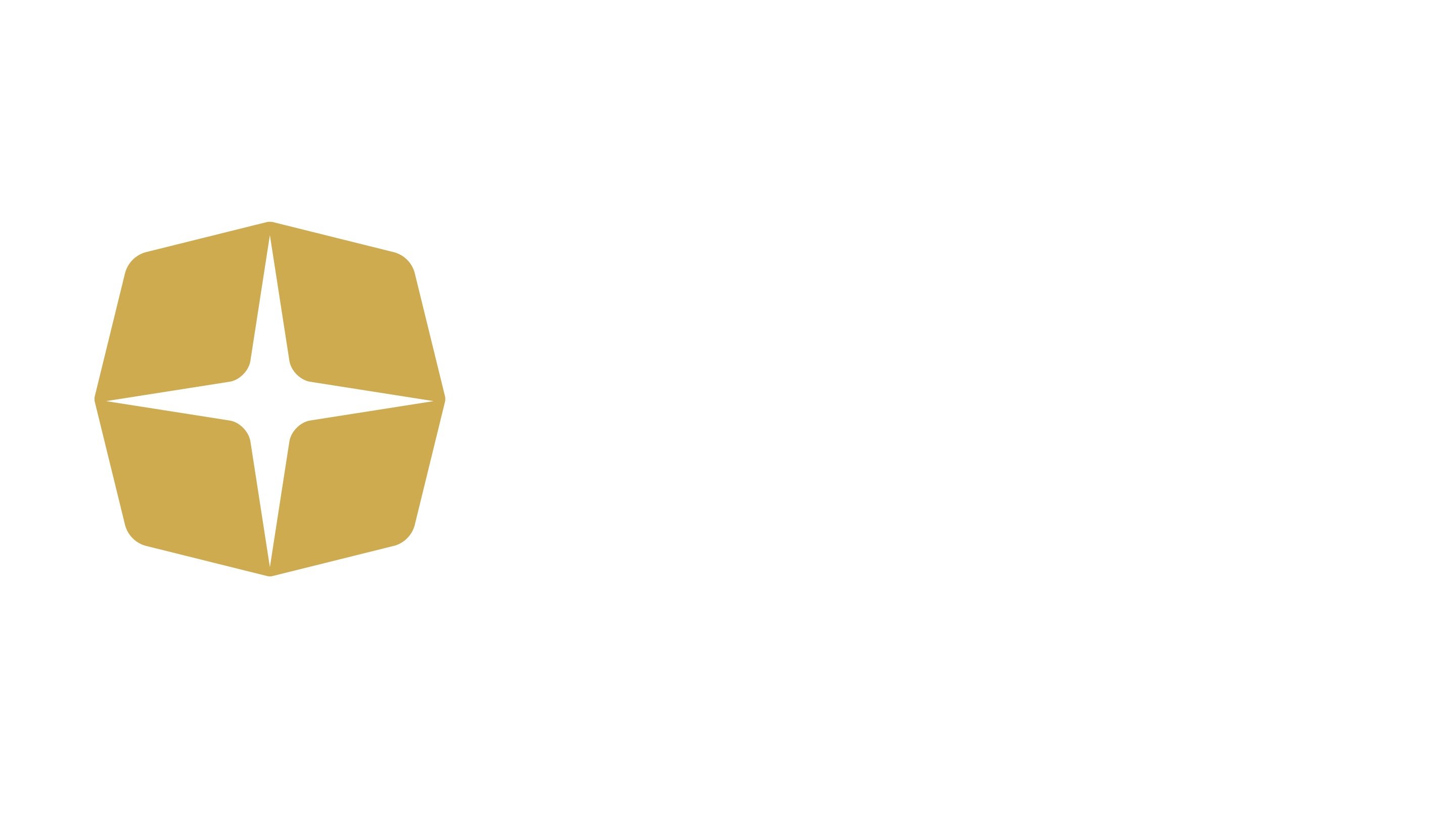 OPIE Manufacturing Group logo in flat design with clear branding and crisp lines