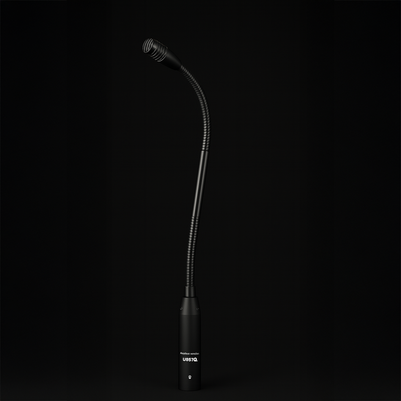 Microphone 12" by Lectrum